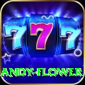 andy flower Gaming Plus v4.4.7