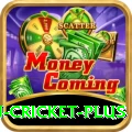 australian cricket Casino Premium v4.6.6