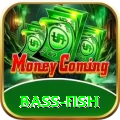 bass fish - Real Money Champion