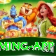 Bingo PKR Super Gaming App