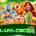 bpl live cricket Super - Daily Bonus