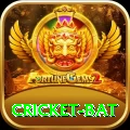 cricket bat Pakistan Ultimate v5.7.6