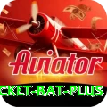 cricket bat - Real Money Pro