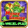 david wiese Live Casino Master