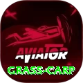grass carp - King v1.9.6