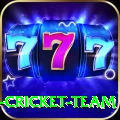 ireland cricket team Slots Gold v2.2.7