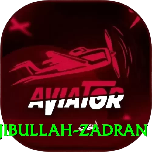 najibullah zadran Max v5.4.8 - 2