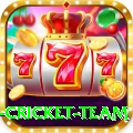 netherlands cricket team Game Max v4.5.6