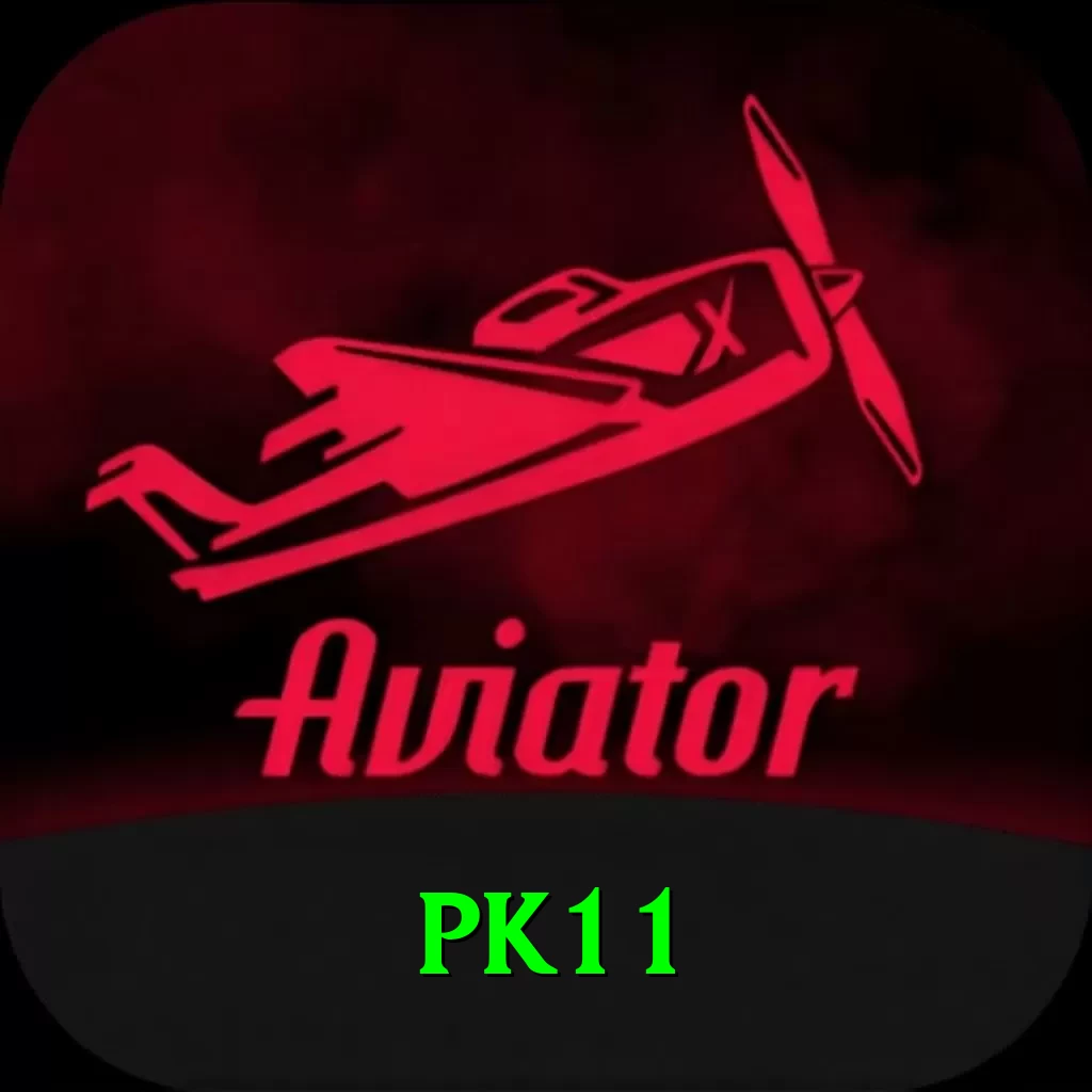 pk11 Pro1 v2.3.6 - 2