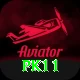 pk11 Pro1 v2.3.6