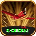 r cricket King Pakistan