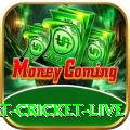 smart cricket live Games Gold