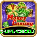 smartcric live cricket Slot Machine Turbo