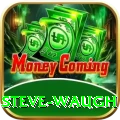 steve waugh APK Premium v1.8.7