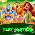 test match Casino Mega v4.7.2