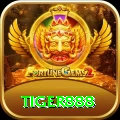 tiger888 Pakistan Plus v4.1.2