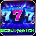 to day cricket match Pro v4.4.2