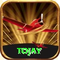 tojay Max v2.3.3