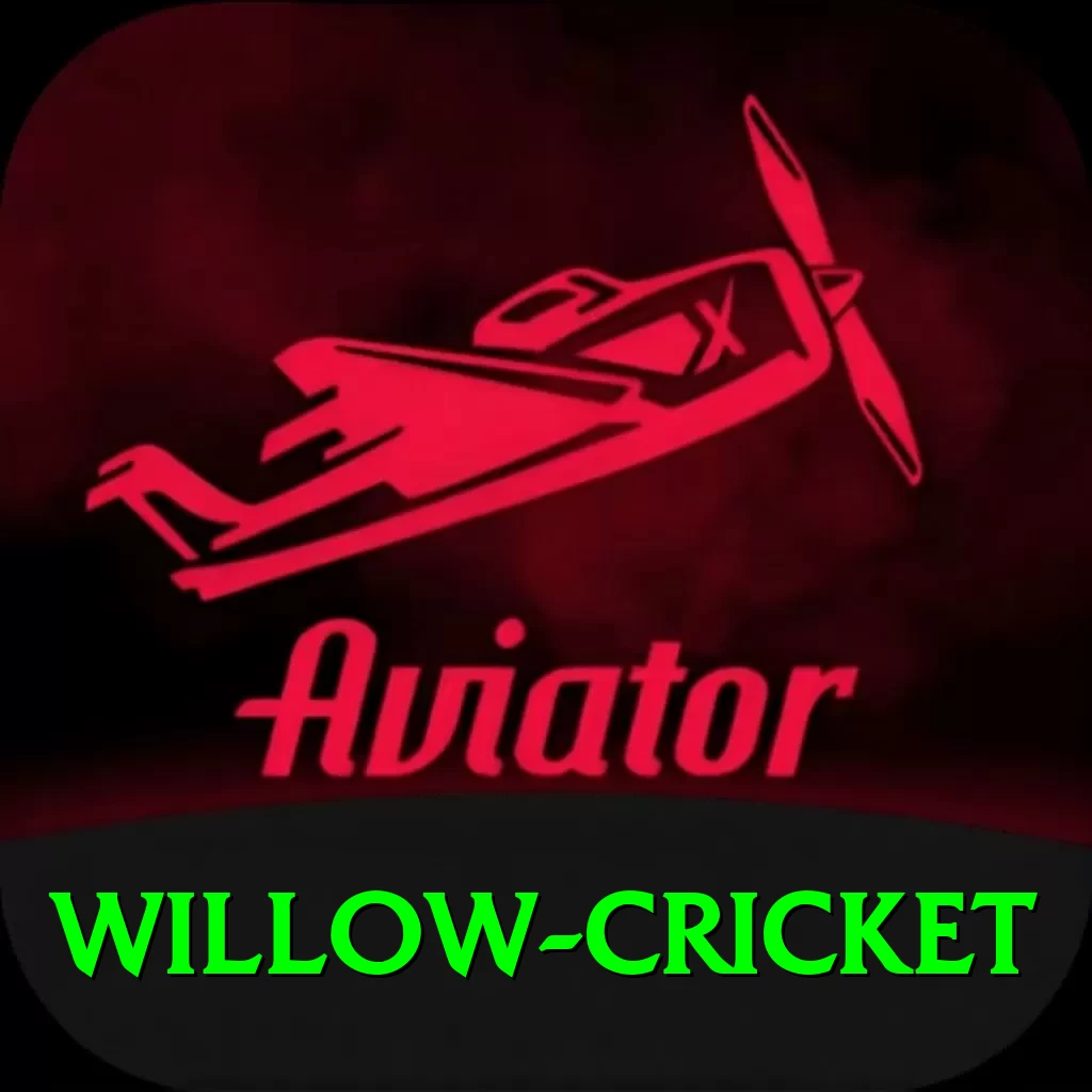 willow cricket Master PK v5.6.3 - 2