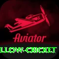 willow cricket Master PK v5.6.3